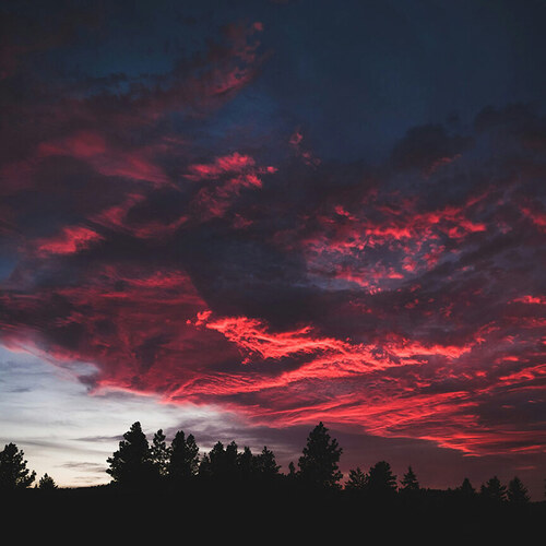 bright sunset reflecting off of clouds above trees
