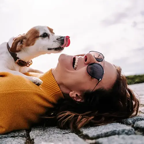 Dog licking woman's face