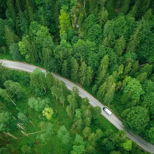 an rv driving on a road through a forest